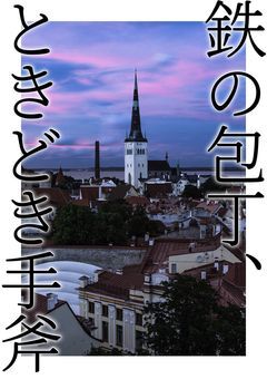 鉄の包丁、ときどき手斧