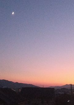 みなみさん専用