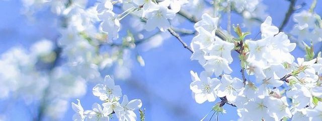 東雲さんの壁紙画像