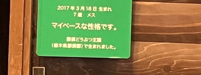 るるさ ﾝさんの壁紙画像