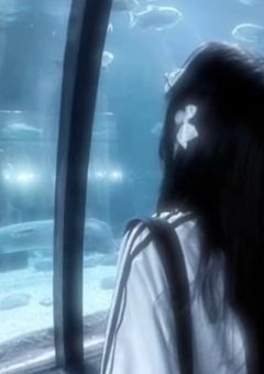 至って彼らは通常です