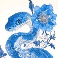 鳳仙花さんのアイコン画像