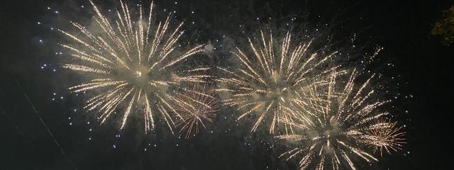 ＼(*^ω^*)／さんの壁紙画像