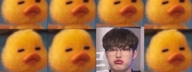 ようにさんの壁紙画像