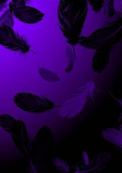 貴方は、私の事嫌いですか？