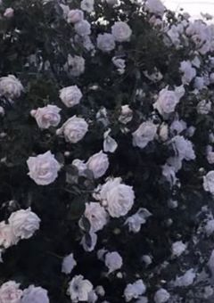 UNSEEN