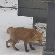 みんとさんのアイコン画像