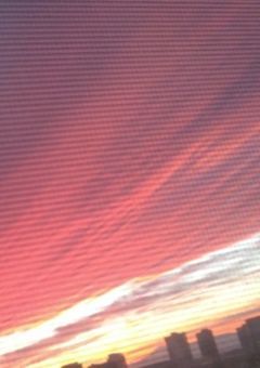 2026目標 & 受験終わったらしたいこと ⟡.·*.