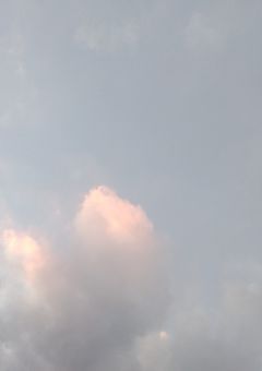 声歌学園中 2-1 日誌