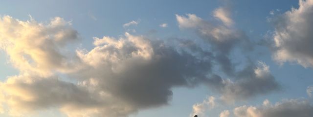 さらさんの壁紙画像
