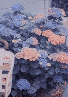  THRONEZ　➷ .　背中を預けて