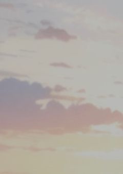 ネタ提供