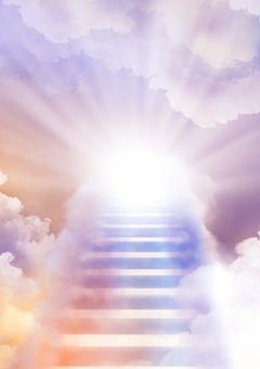 　"　妖楽国　"　へようこそ　。