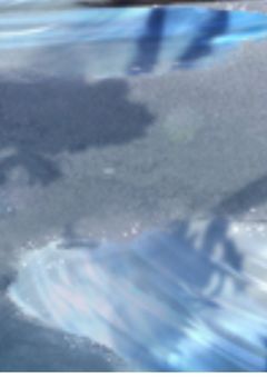 初星んぜんあ学園(男主)