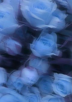 ▷ 取 り 扱 い 説 明 書 