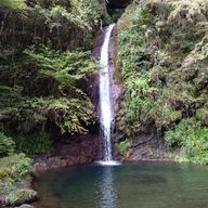 ☃️yuitti🩷🖤💛さんのアイコン画像