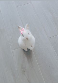 🐰 短編集ー体調不良