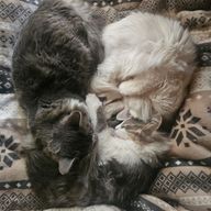 nuttyさんのアイコン画像