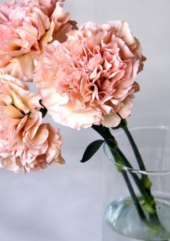 性格が変わっても 、好きな人 。