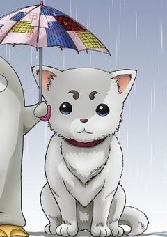 元攘夷志士は愛される?