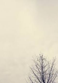 プリ小説　引退　コメちゃれ