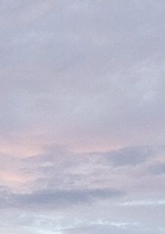 オリキャラの設定投稿 (幽霊家)