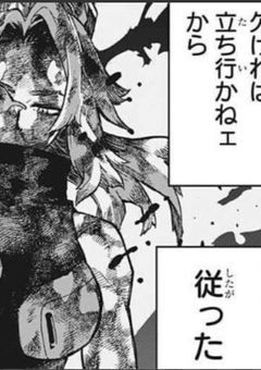  レディ・ナガンの弟さん  .