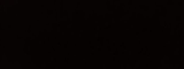 ほわいとたいがーさんの壁紙画像