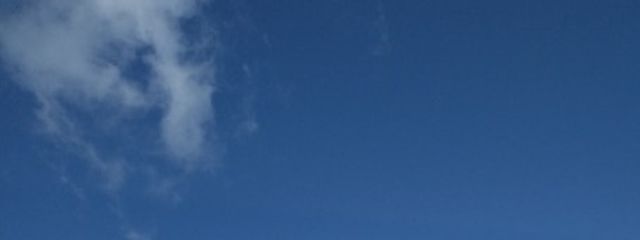 tanu（サブアカ）無差別フォローお断りしています🙇さんの壁紙画像