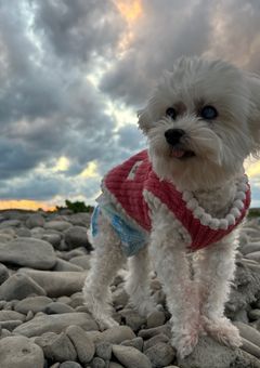 みんなで癒されよう！