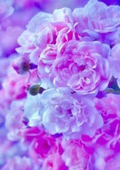 ꒦꒷ 二人だけの世界 ꒦꒷ྀི