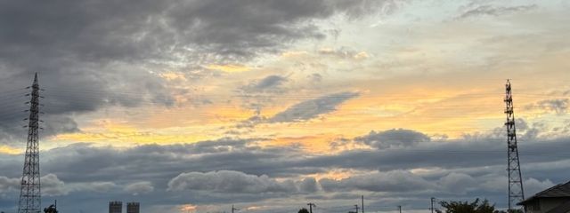 tii/ふかひれさんの壁紙画像