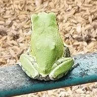 マムタさんのアイコン画像