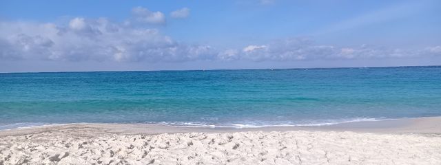 柑橘類さんの壁紙画像