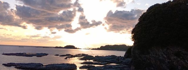 柑橘類さんの壁紙画像