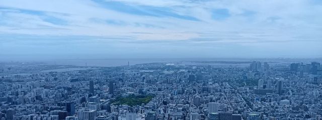 醤油餅さんの壁紙画像