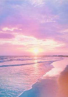 生徒会に愛されてるんですが!?