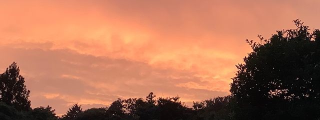 楼湊雨さんの壁紙画像