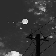 𝐫𝐢𝐧𝐤𝐚‎🤍✨さんのアイコン画像