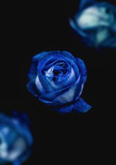 　✧　一緒你居ようッ弖決めてたンダ