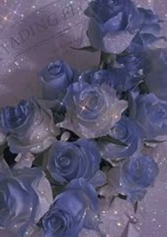 　✧　ベッド之横你置いてる殻