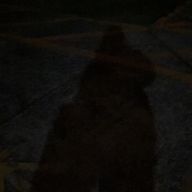 ももかさんのアイコン画像