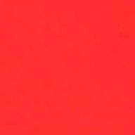 天音　さんのアイコン画像