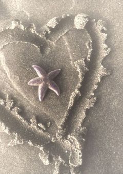 🐥の愛され物語…💞