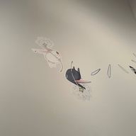 めんめんさんのアイコン画像