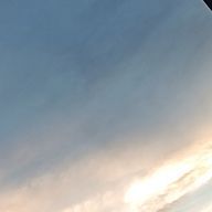 かさみね@みんみんぜみ🍙だよ本当だよさんのアイコン画像