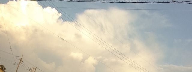 桜鈴（さりん）さんの壁紙画像