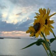 Yuran＠九州県民＃四天王組とはげずLOVEさんのアイコン画像