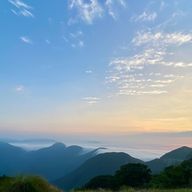 Ssakiさんのアイコン画像