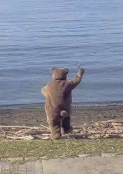 ぴぐれっとの日常